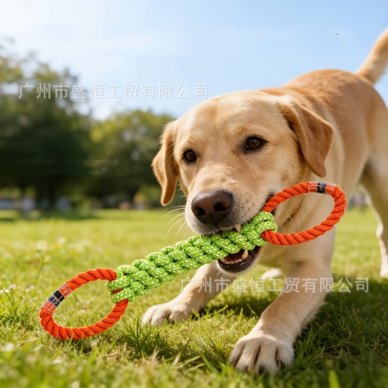 Corn Dog Stick - Juguete para mascotas de cuerda de