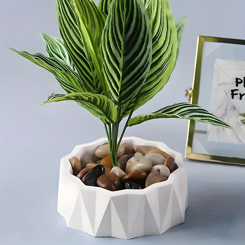 1/2 Moldes de Silicona Grandes - Potsticker Mold reseña y precio